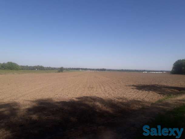 Продам участок га, Алматинская обл., р/н., Белбулак, фотография 2