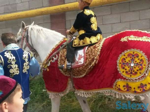 Сундет, конь,трон, фотография 3