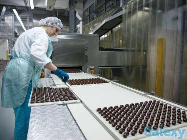 Разнорабочие в Белгородскую область РФ, фотография 6