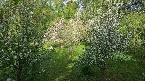 Продажа дачи, фотография 5