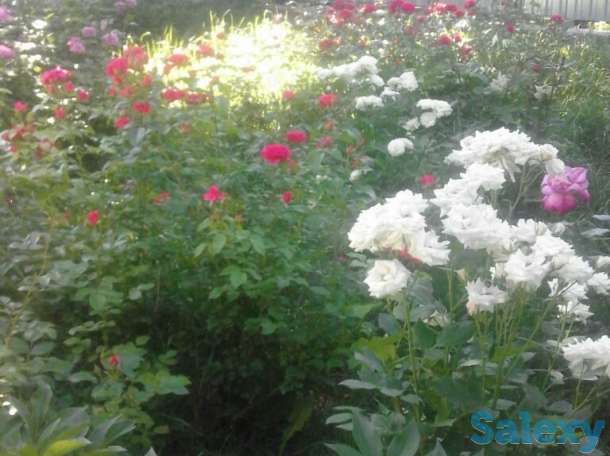 дом, село Балтабай, улица Школьная 24, фотография 5