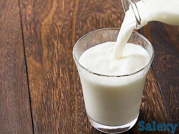 Молоко коровы. Домашнее, жирное, свежее., фотография 2