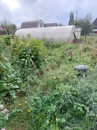 Продам дачу за Понтонным мостом, фотография 2