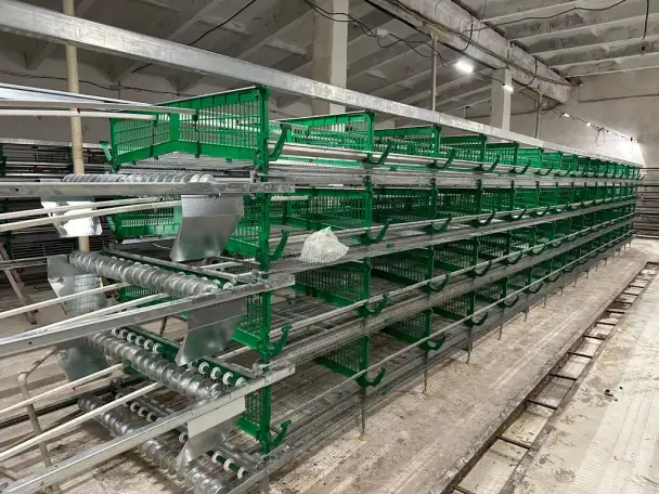 Продается готовый бизнес ферма по производству перепелиных яиц в Акмолинской области, фотография 2