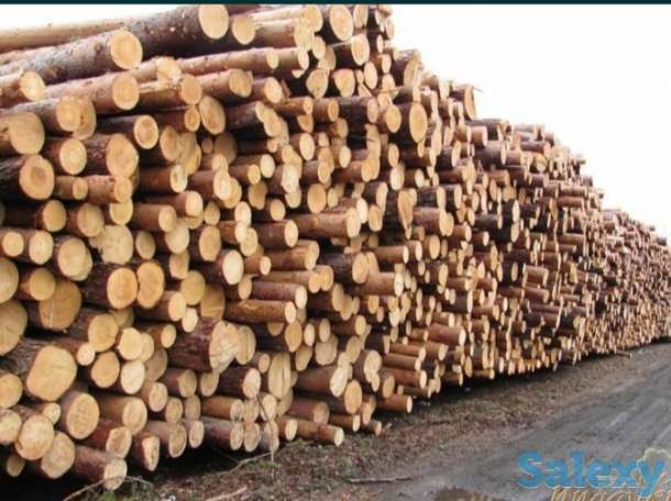 Пиломатериалы, фотография 7