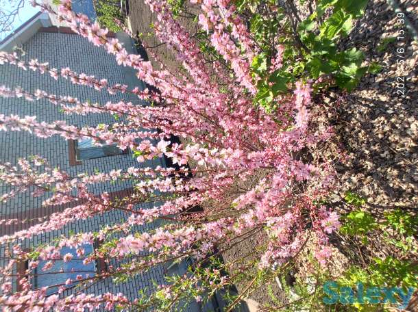 Продаем дом, фотография 7