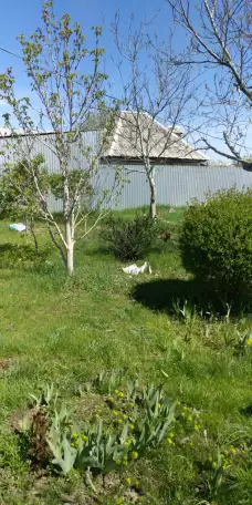 Продам дачу в Алматинской области севернее поселка Кендала. ПК Восход., фотография 9