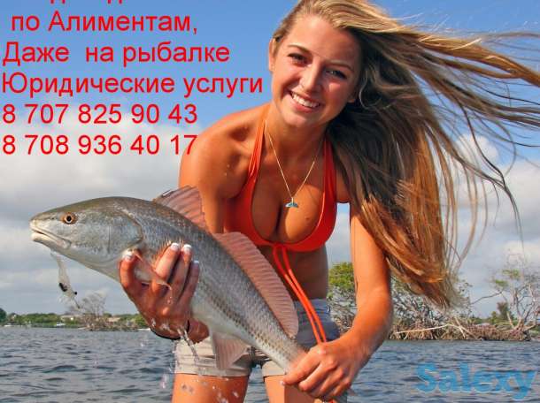 Юрист по Алиментам, фотография 1