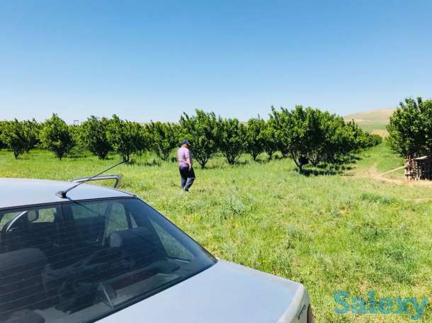 Продам участок 2 га, фотография 3