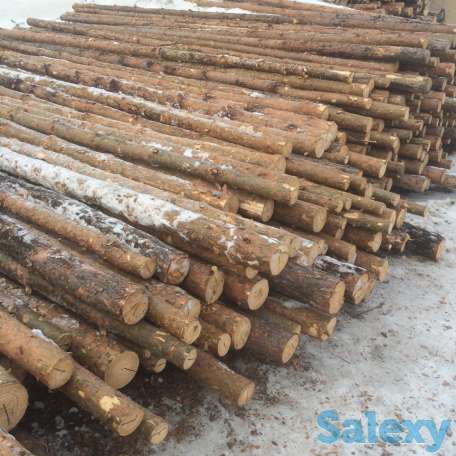 Лес кругляк, жердь, подтоварник, пиломатериалы., фотография 1