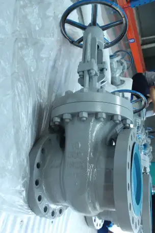 Задвижки клиновые ASME API Gate valves ASME API, фотография 4