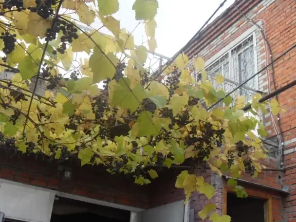 оттедж, ул.Славы   д.13, фотография 1