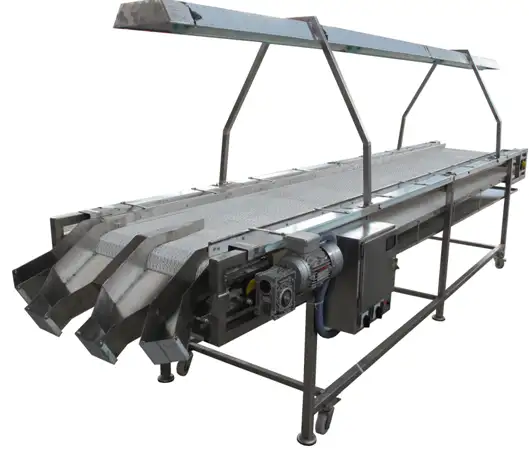 Оборудование ДО и ПОСЛЕ сушки фруктов и овощей, фотография 2