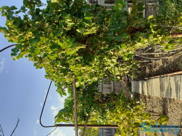 Жилой дом с участком, Мангистауская обл., п. Атамекен, Туген эл, ул.Акниет, фотография 2