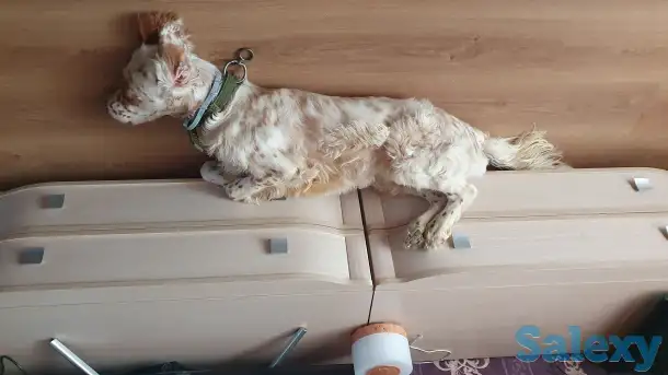 Продам, фотография 1