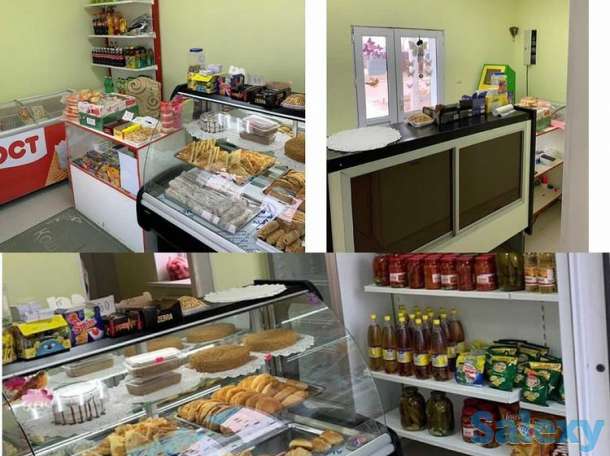 Продам частный Дом С Бизнесом, Жумыскер 1, фотография 8