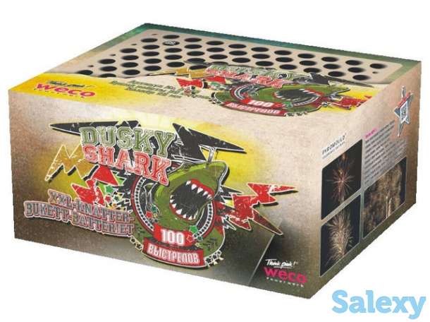 Салют Dusky Shark, фотография 1