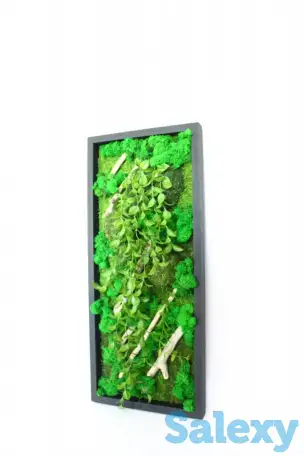 Картины из стабилизированного мха, фотография 2