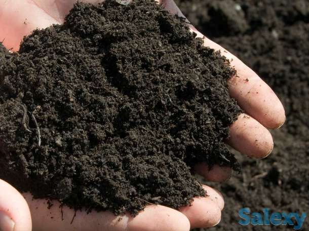 Чернозем, фотография 2