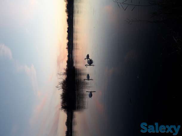 Фото, фотография 1