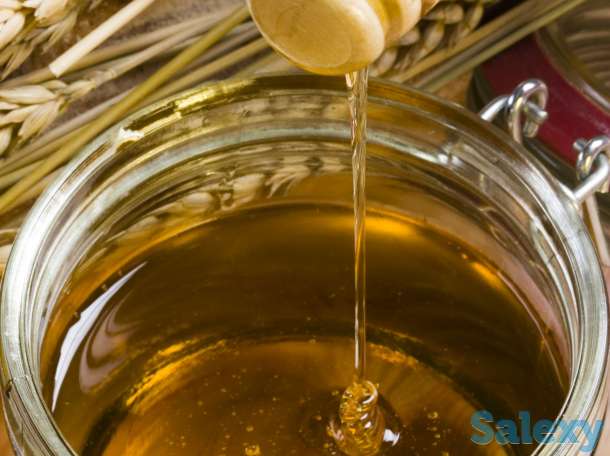 Продам натуральный мёд урожай 2019г, фотография 2