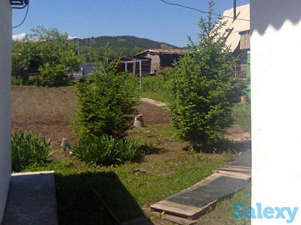 Новая Бухтарма, фотография 11