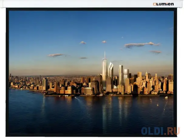 Экран настенный lumien master picture lmp-100129 220 x 220 см, фотография 1