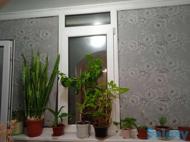 Продам 3-х комнатную квартиру, Гришина, фотография 4