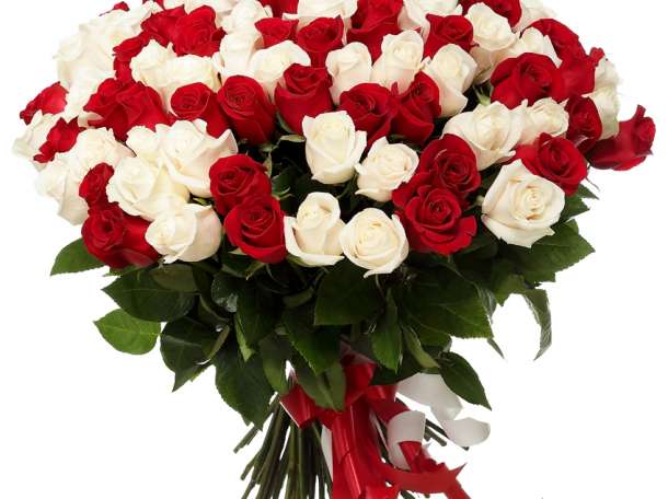 Розы с доставкой по поводу и без, фотография 2