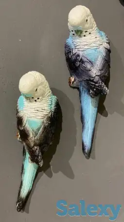 Декоративный попугай, фотография 1