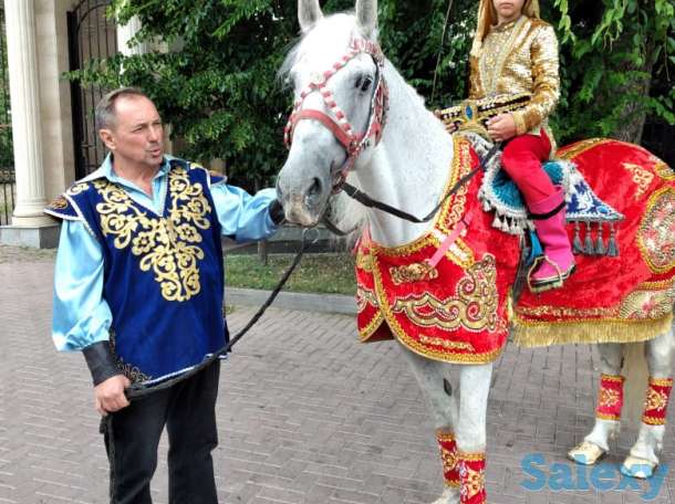 аренда коня, фотография 1