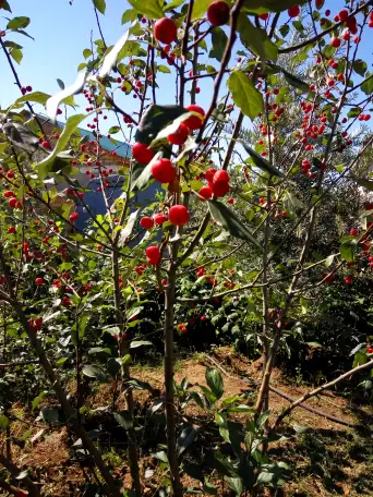 продам дом, Тайтобе. ул.Б.Байкадамов 32, фотография 7