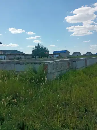 Дом, земельный участок 12 соток в посёлке Жибек-Жолы пригород Астаны, фотография 6