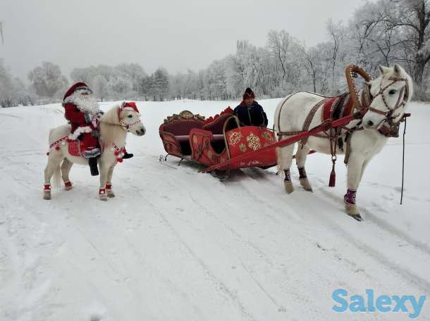 сани, карета, фотография 2