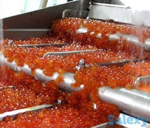 Изготовим оборудование для производства имитированной икры, фотография 1