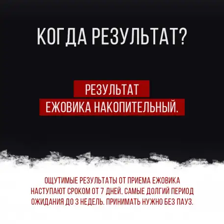 Ежовик гребенчатый, фотография 4