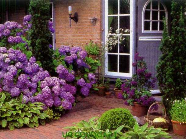 Озеленение, фотография 3