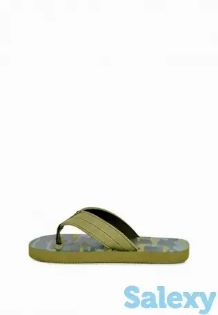 Сланцы t.taccardi, фотография 2