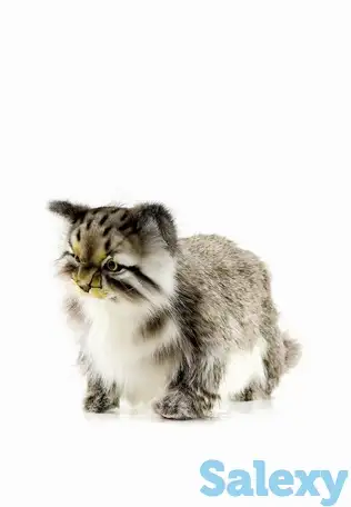 Игрушка мягкая hansa, фотография 2