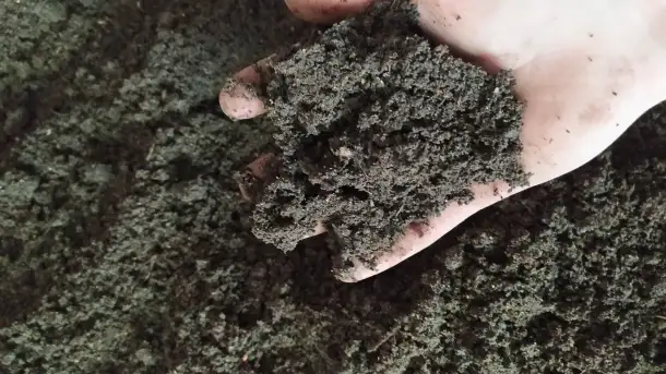Вермикомпост - биогумус. Органическое удобрение, фотография 3