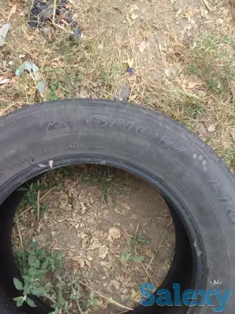 шины, фотография 3