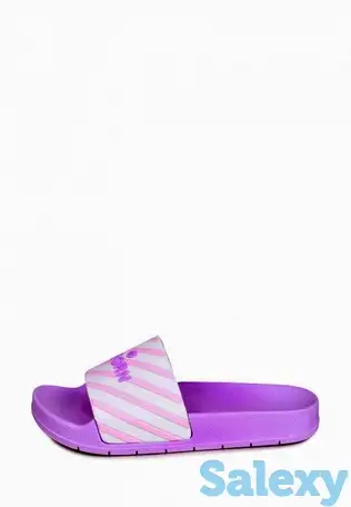 Сланцы t.taccardi, фотография 1