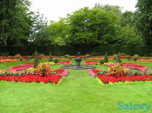 Устройство цветников, фотография 2