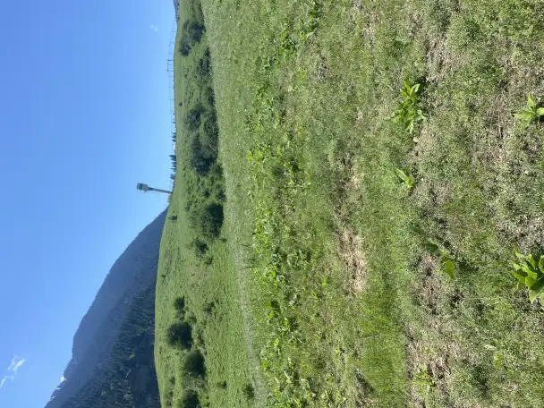 Участок 58 соток у озера колсай, Колсай, фотография 1