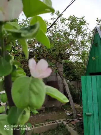 Продается дача. По КВ47 ниже поселка Кендала . 6 сот. Дом 60 кв м., фотография 3