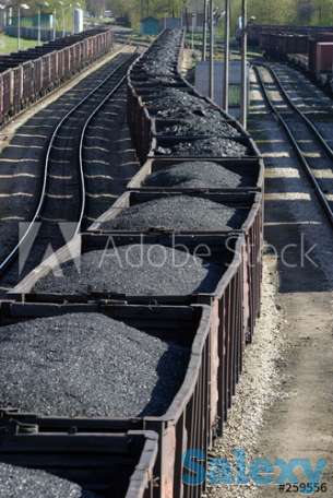 Уголь Майкуба оптом, вагонные поставки, цена и качество от производителя, фотография 2