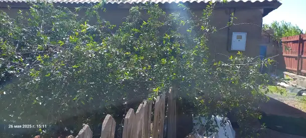 Отдельный дом, Жангельдина 29, фотография 2