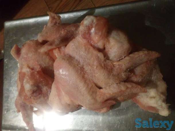 Крылья 600 тенге. Голени 700 тенге, фотография 1