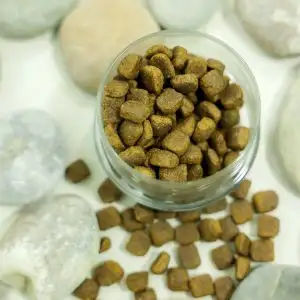 Комбикорм для активных собак супер Премиум класс, фотография 2