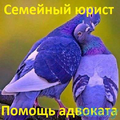 СЕМЕЙНЫЕ СПОРЫ (разводы, алименты, родит. права и пр.), фотография 1